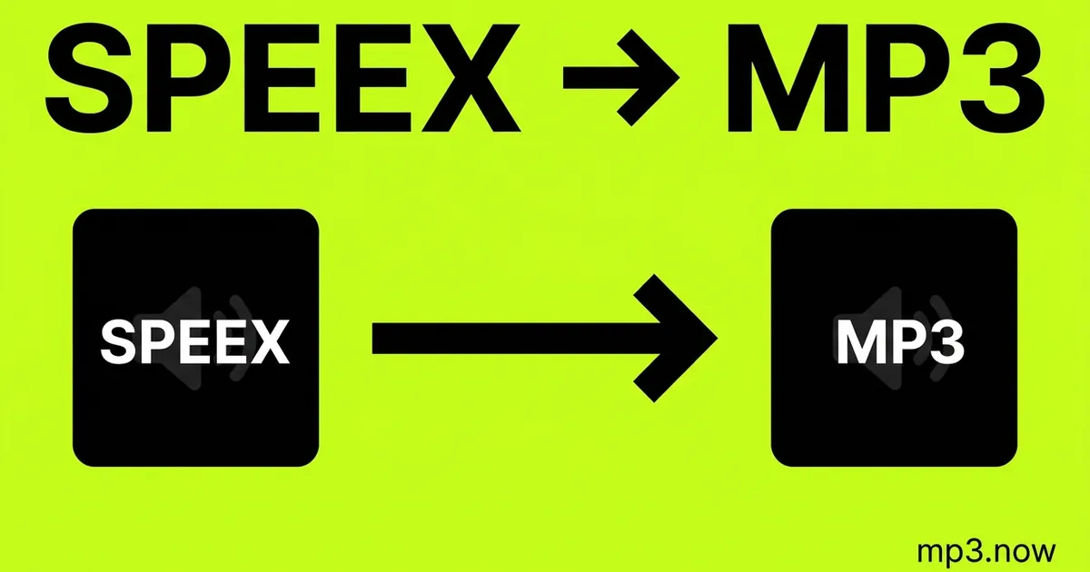 Convert Speex to MP3 Online Free